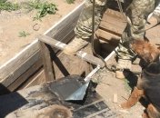 Служебный пес пограничников обнаружил тайник с наркотическими веществами