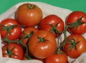 Во избежание болезней листьев избегайте намокания листвы при поливе