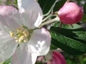 С погодой в выходные повезет не всем: синоптики рассказали, где будут идти дожди и грозы