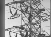 Нелепая смерть: мужчина на спор залез на опору электропередач и получил сильнейший удар током (видео)