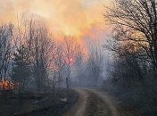 В Чернобыльской зоне увеличилась площадь пожара