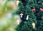 Главную елку Украины в этом году зажгут онлайн: где и когда смотреть трансляцию