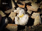 Фото з місця подій