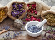 Хозяйке на заметку: как правильно сушить растения