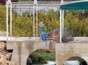 Сирия: ожесточенные бои идут в Алеппо