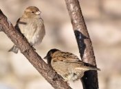 Прогноз погоды на 24 марта: украинцев ожидает ясный и теплый вторник