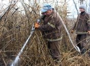 На Полтавщине огнеборцы продолжают борьбу с торфяным пожаром