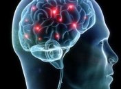 Ученые: Белок поможет модифицировать память