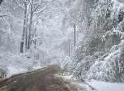 Прогноз погоды на 11 февраля: похолодает, местами пройдет снег и дождь