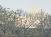 СМИ сообщают о новой химатаке в Сирии