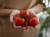 Домашние средства могут лишить урожая помидор