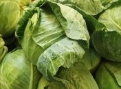 Как правильно хранить капусту