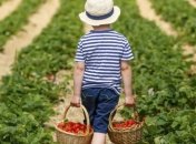 Новый метод терапии предотвратит все виды пищевой аллергии