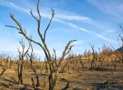 Скорое повышение температуры Земли на 7 градусов признали неизбежным