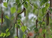 Май принес в Украину кратковременные дожди и грозы