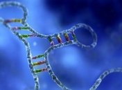 В двух астероидах было обнаружено составляющие РНК