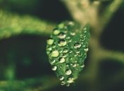 Погода на вихідні обіцяє бути, як у тропіках - дощі та спека +33