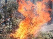 Канада потерпает от лесного пожара