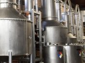 Беларусь увеличила производство текилы в 2 раза