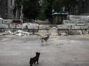 Куницын: На восстановление Донбасса потребуется не один млрд долларов