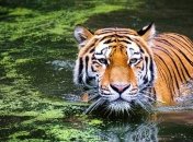 29 липня: яке сьогодні свято, прикмети і заборони