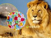 Рідкісна комаха - мурашиний лев звичайний