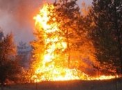 Лесные пожары добрались до лесов под Киевом (видео, карта)