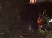 ДТП во Львове: погиб пешеход