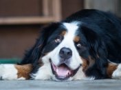 Что не даст состариться?