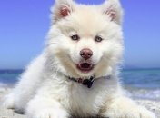 Лето не хочет прощаться с нами: прогноз погоды на 29 августа