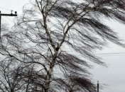 Непогода в Украине унесла две жизни и обесточила сотню населенных пунктов