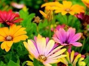 Какие завтра праздники: традиции и приметы на 28 июня