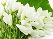 Стихи-поздравления с 8 Марта 2020