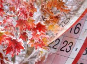 Выходные в ноябре