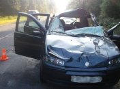 Водитель Fiat погиб при столкновении с лосем (Фото)