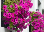 27 августа. Приметы дня