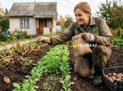 Этот секрет знают опытные дачники