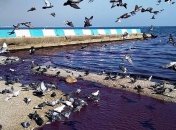 Море окрасилось в фиолетовый цвет: в Крыму произошло очередное ЧП