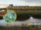 Річка Суха Московка у Запоріжжі