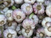 Продукты питания, которые уничтожают паразитов