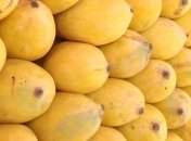 Манго - против смертельных бактерий