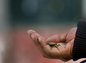 Немічний дідусь просив допомоги