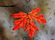 Вогко і хмарно: яка погода буде в Україні 21 жовтня