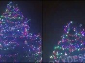 Почувствовали себя котами? Мужчины отличились дикарством на елке в Одессе (видео)