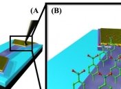 Первый графеновый биосенсор имеет высокую эффективность  