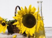 Продукты, которые обязательно нужно включить в свой рацион (Фото)