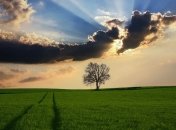 Украинцы получат "передышку" от дождей, но повезет не всем: чего ждать от погоды во вторник