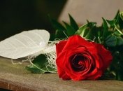 Короткие смс-поздравления с Татьяниным днем 2019