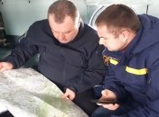 В Карпатах второй день ищут пропавшего туриста: к поискам подключили десятки спасателей и вертолет (видео)