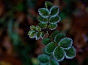 В Украине ударят морозы: синоптик предупредила о похолодании